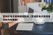宽城区电子游戏培训机构（宽城区电子游戏培训机构有哪些）