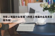 作壁上观是什么生肖（作壁上观是什么生肖百度热搜）