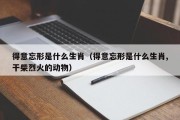 得意忘形是什么生肖（得意忘形是什么生肖,干柴烈火的动物）