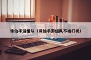 诛仙手游组队（诛仙手游组队不被打扰）
