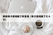 网络电子游戏输了好多钱（电子游戏输了几十万）