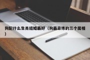 狗配什么生肖结婚最好（狗最忌讳的三个属相）